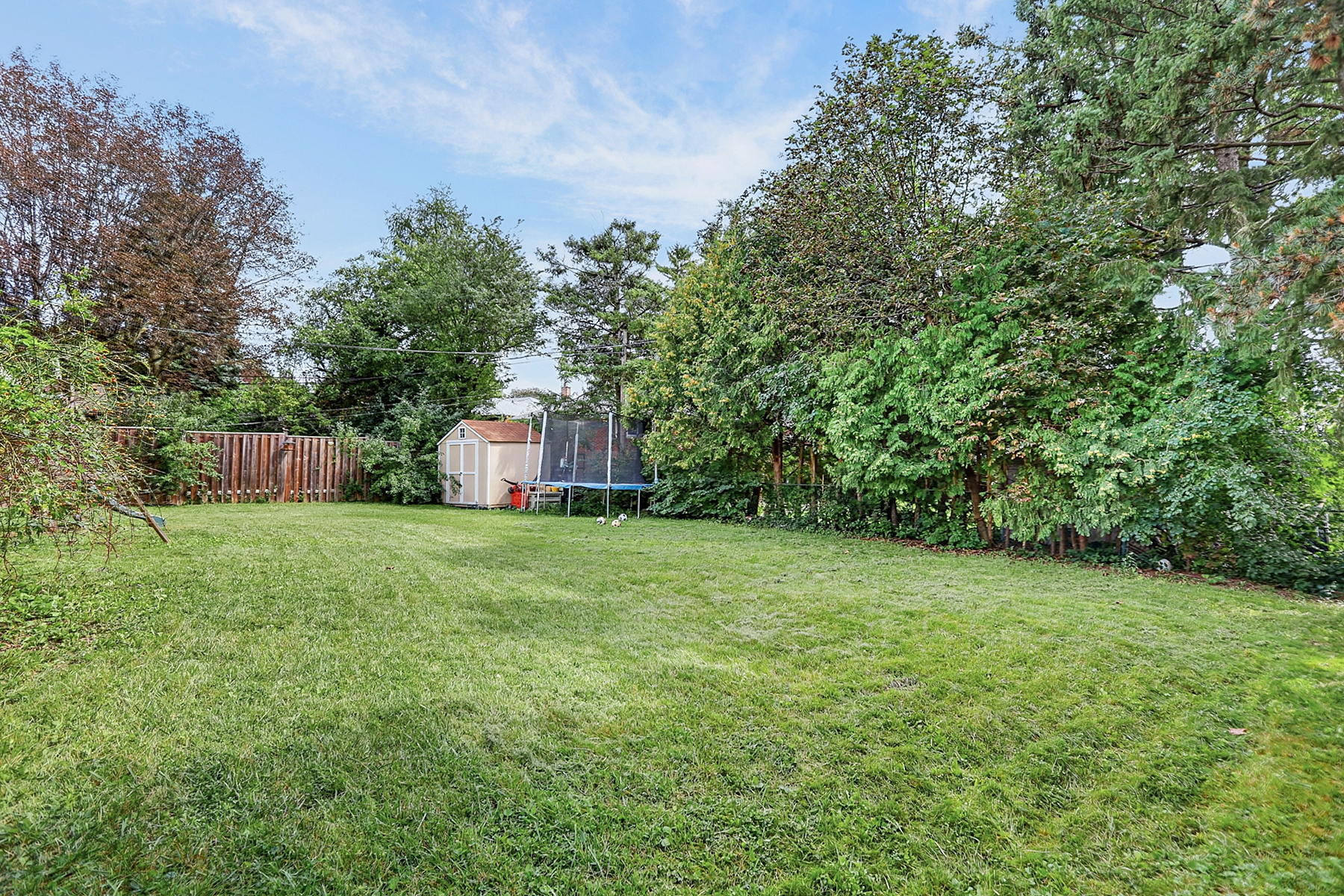 Backyard — Wide View